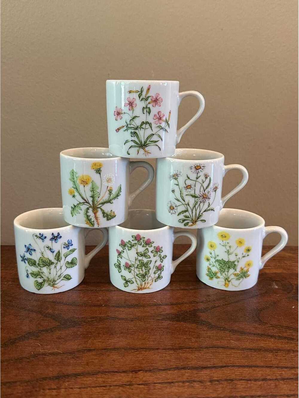 1970s Vintage Standard Finest Japan Botanical Espresso Cups, Set of 6